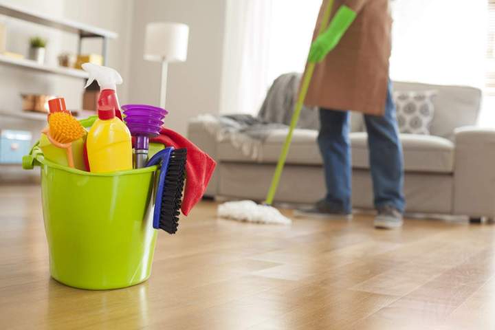 Professional Housekeeping Services
